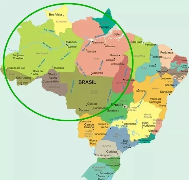 亚马逊雨林烧了整整三周大火已造成至少50万公顷的森林被毁