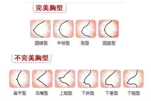 欧阳武如何判断自己的胸型胸型分类图解