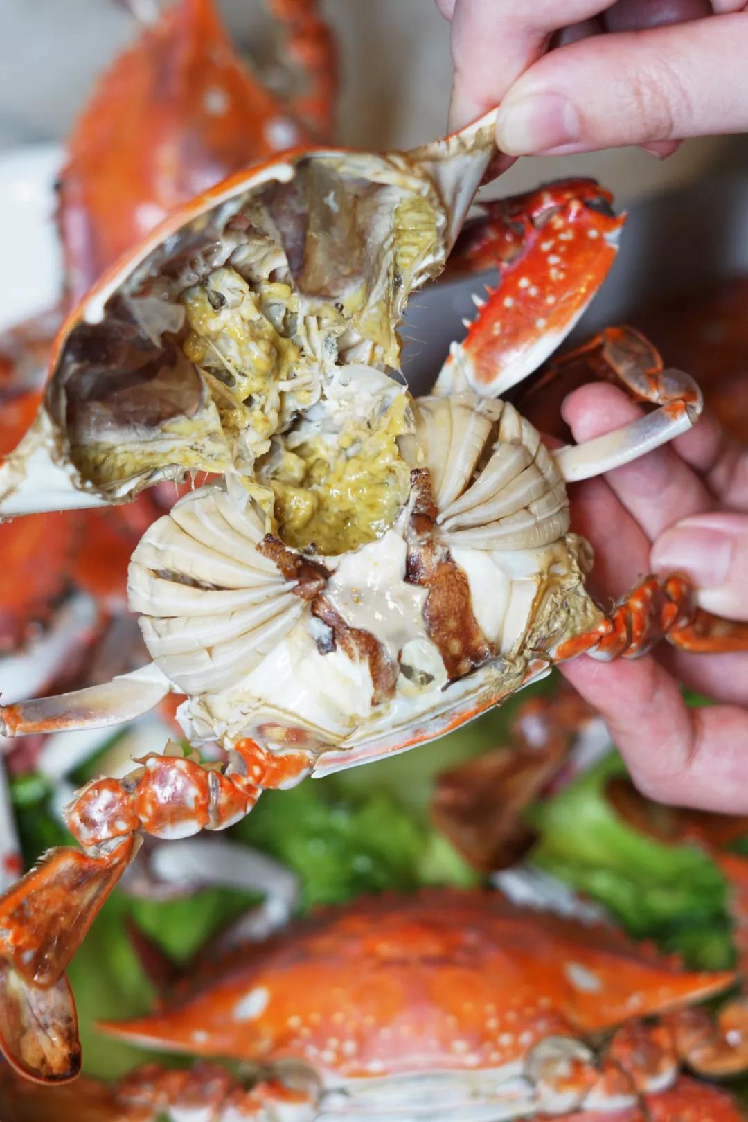 10000斤活蟹即将到丽都连续7天宁波白蟹节6块8只只爆黄