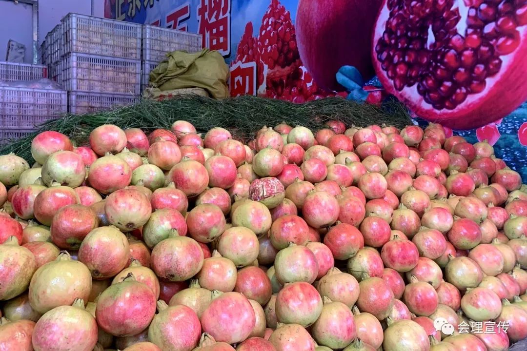 会理石榴陆续上市果品质量佳销得好