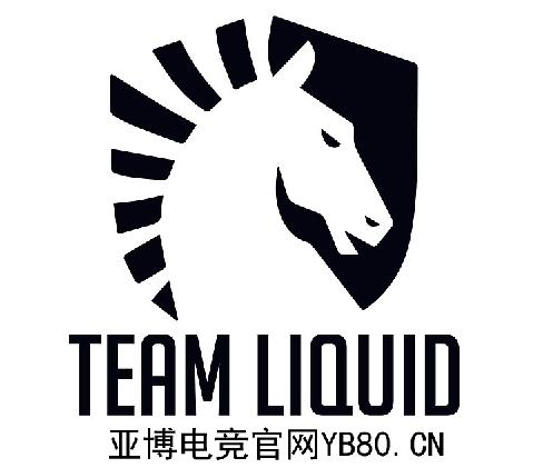 dota2 ti9败者组第三轮 liquid vs rng