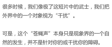禅意短片武士与苍蝇静心是关掉你内心的噪音