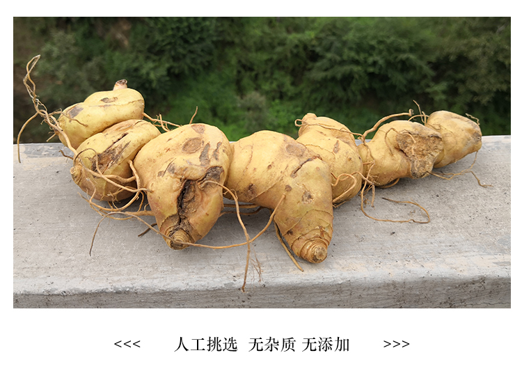 有种草根,常吃能够延年益寿,身轻力壮,你知道是什么吗?