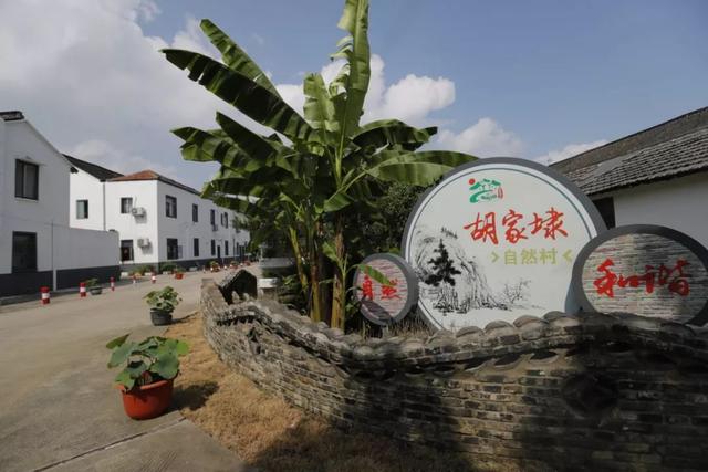 湿垃圾无需破袋新浜来了个大胃蛙