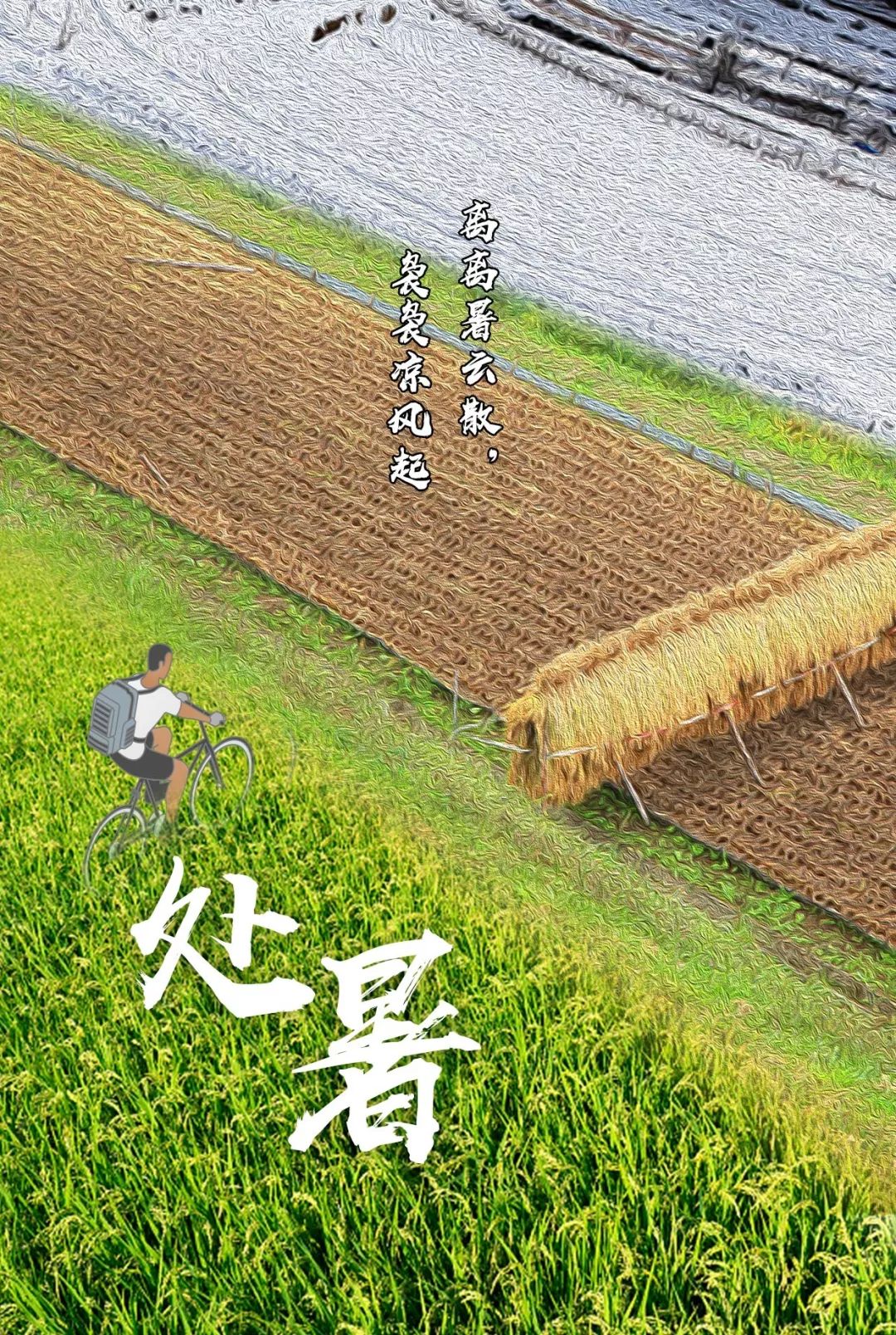 今日处暑