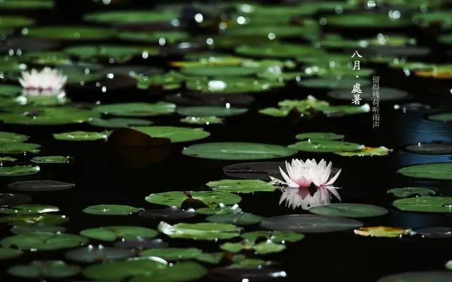 處暑節氣暑去秋涼一起邂逅美麗古詩詞