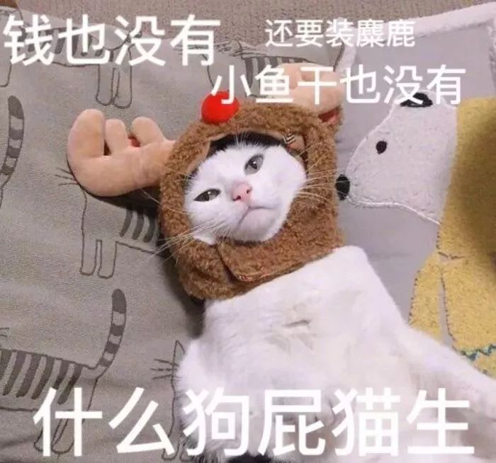 这是一条鬼畜画风的狗狗猫咪表情包合集推文