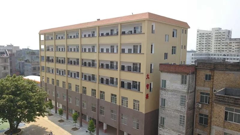 校长由全国模范教师,广西特级教师,原桂平市实验小学校长,原桂平市