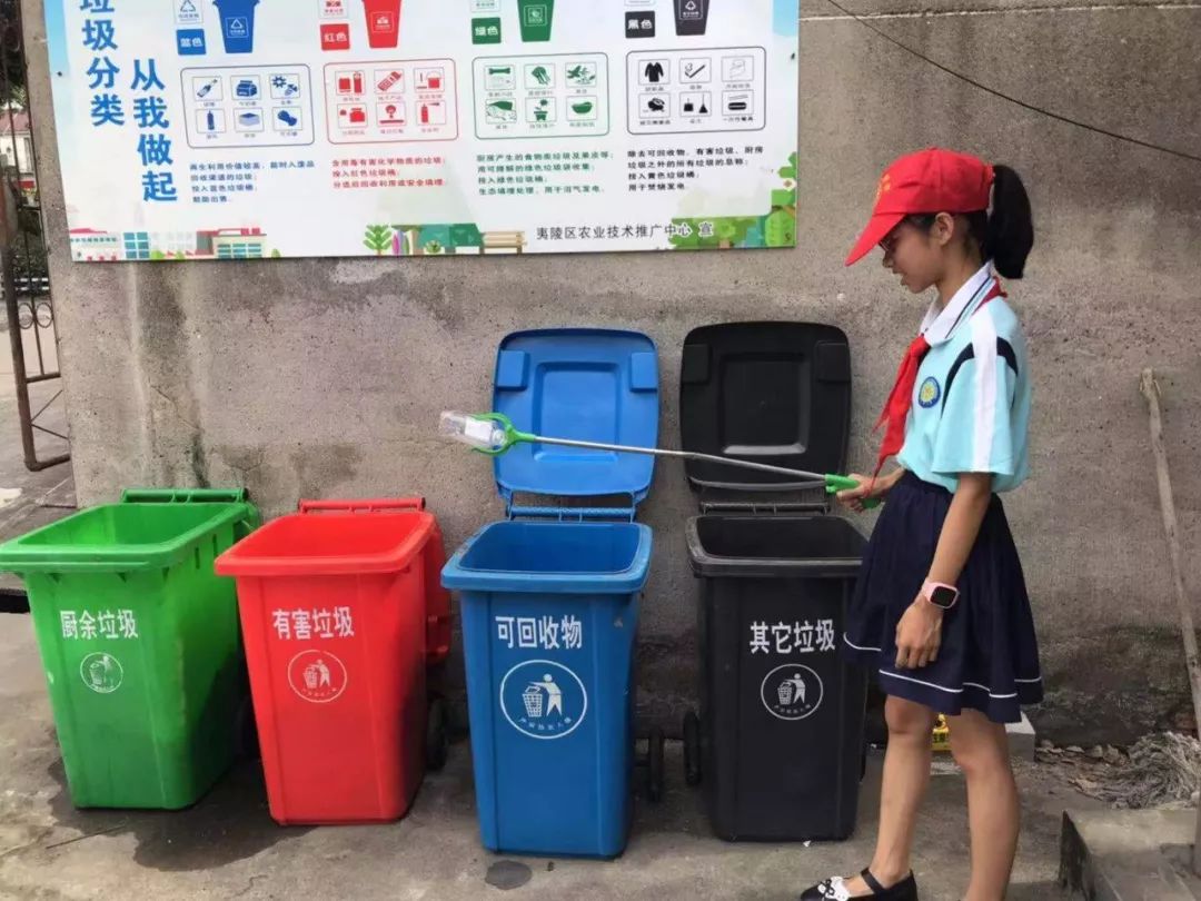 从学到做,看冯家湾小学学生引领"垃圾分类"新时尚