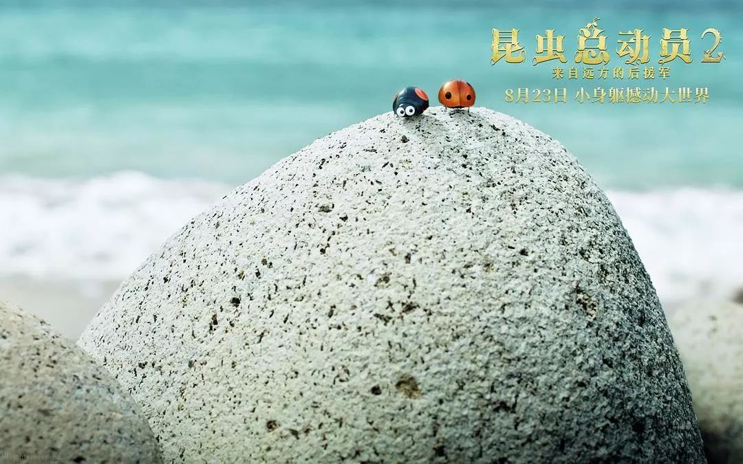 友善的瓢虫父子cox和junior为帮好友黑蚂蚁mandible逃脱红蚂蚁的袭击