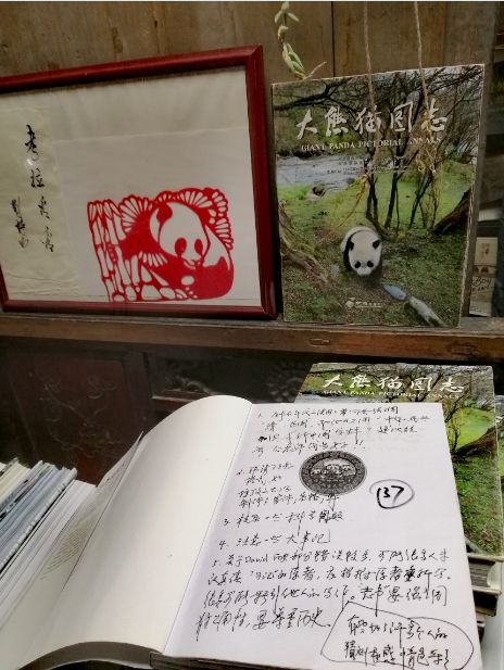 打造国宝图志新名片抒写熊猫文化新华章大熊猫图志编纂幕后故事