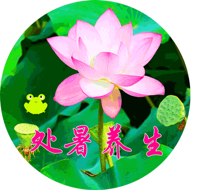 作者︱清 溪处暑,是二十四节气之中的第14个节气,在8月23日前后,太阳