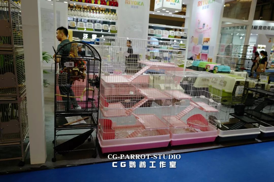 cg鹦鹉工作室2019上海亚宠展的第二天