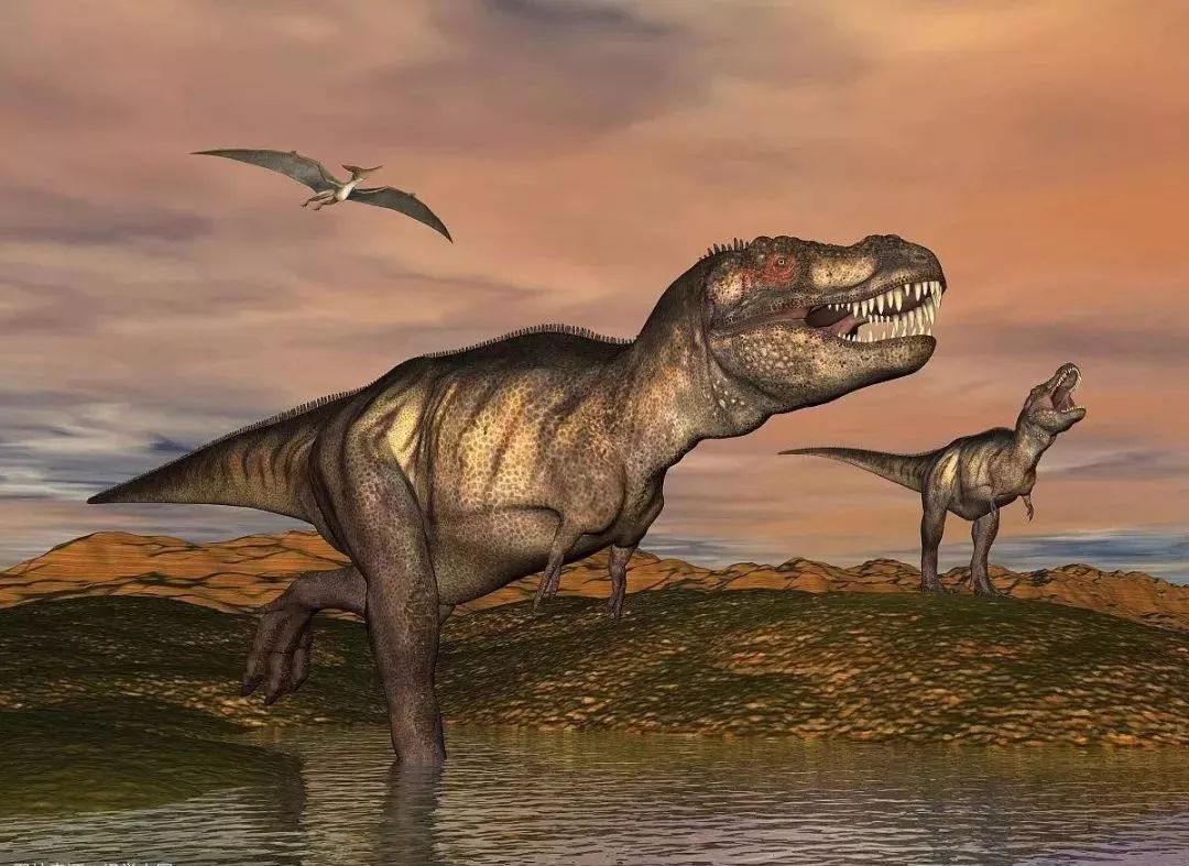 报名宜兴科技馆科普课堂开课啦恐龙带你学环保