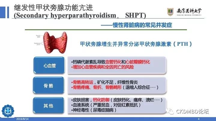 继发性甲状旁腺功能亢进与ptx术后低pth