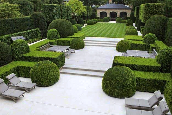 1/9绿篱,在私家别墅花园中很常见.