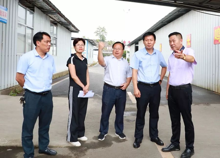 陈代才深入辖区开展安全生产隐患大排查