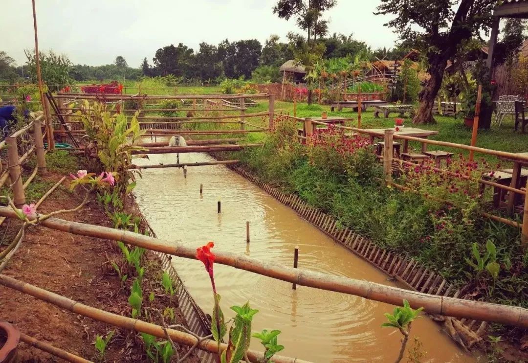 30亩小农场如何把亲子游做到极致