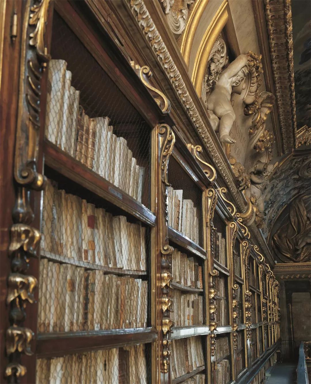 看世界|意大利里卡迪图书馆:一个家族的精神家园