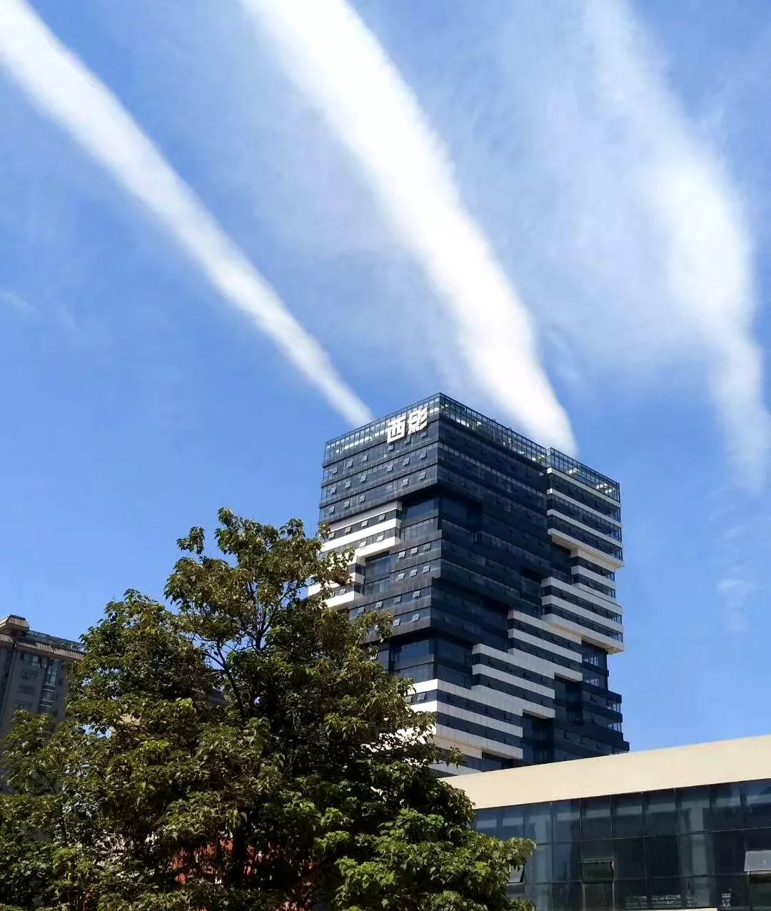 61岁生日对话2038年西影埋下了一颗时间胶囊