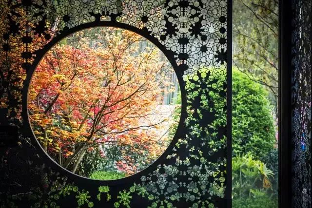 隔不断的美,不同的设计手法,漏屏风漏窗利用中国古典园林的"框景"手法