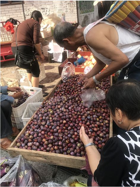 黑地梨图片