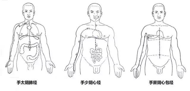 手三阳经脉循行图片