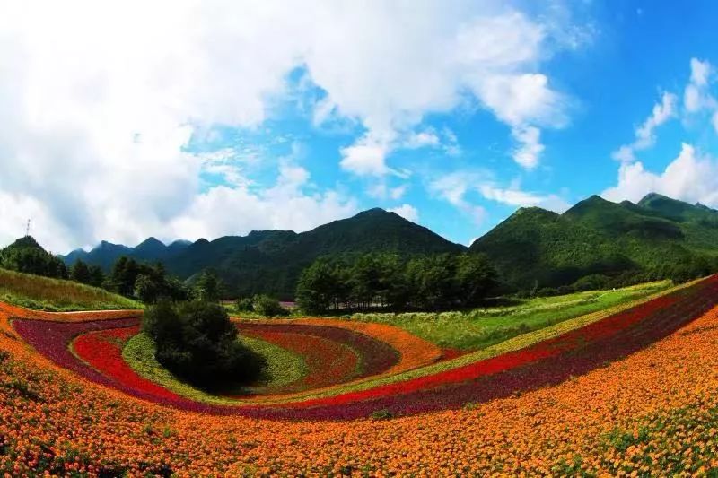 唐德祥接受央視採訪時表示大力實施旅遊興縣戰略把綠水青山變成金山