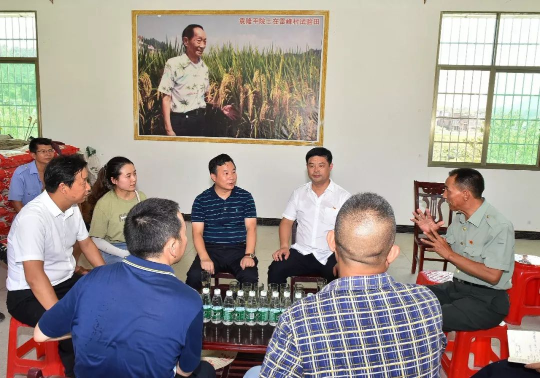 图片说明邓辉平全面了解和听取隆回县水稻种植和农技推