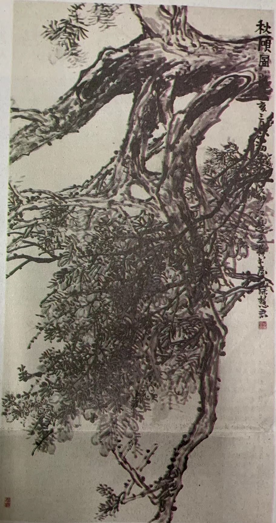 982书画徐慧君写意画作品香榧系列