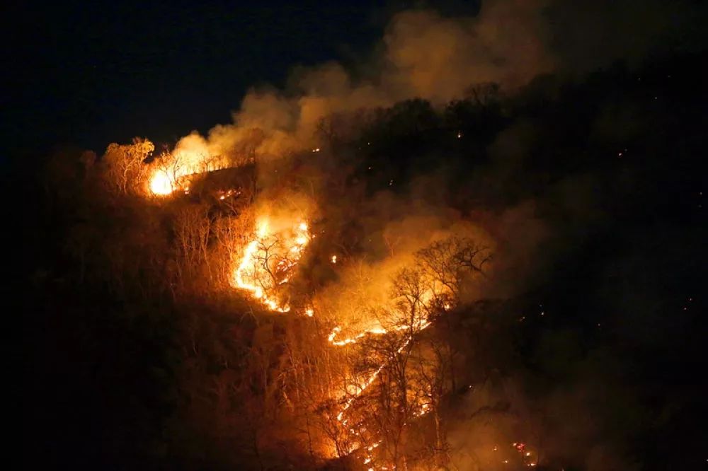 亚马逊雨林大火地球之肺在燃烧