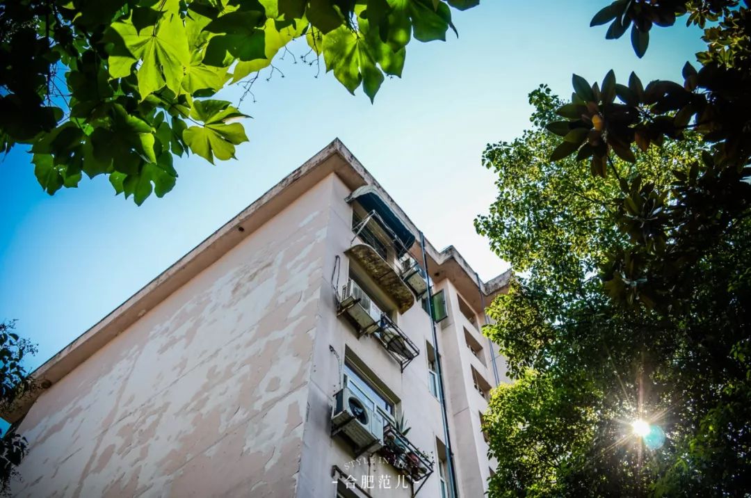 西园新村老合肥32年的独家记忆