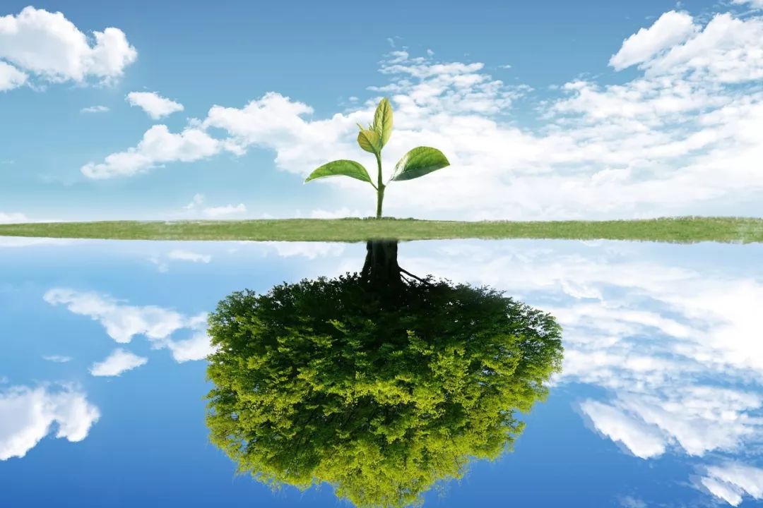 【点歌】距2020年高考289天|fear doesnt shut you down