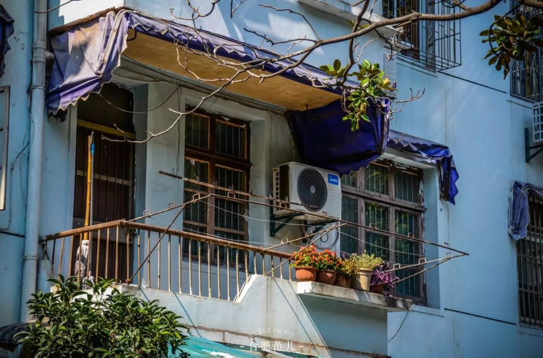 西园新村,老合肥32年的独家记忆.