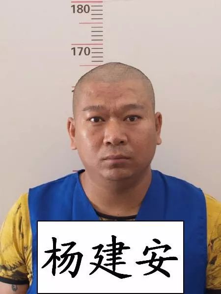 无码长期盘踞大理下关水木清泉足疗大桶水足疗的犯罪团伙成员首次曝光