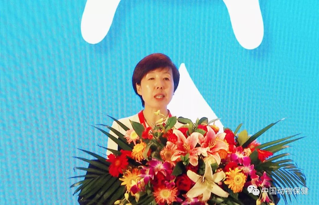 中国奶业协会卫生保健专业委员会主任李秀波研究员对《奶牛乳房健康和