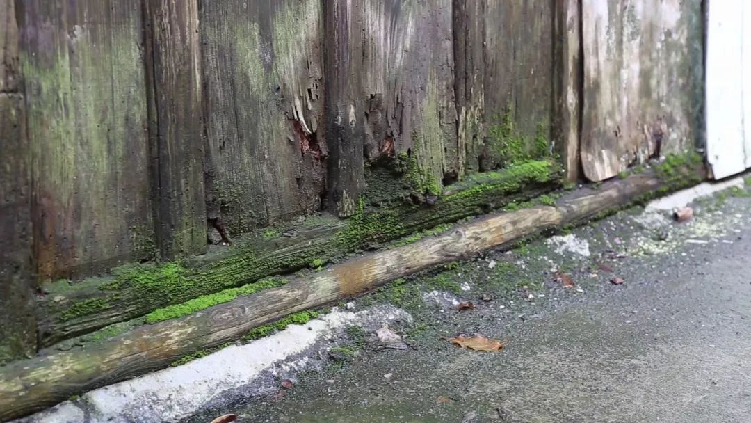 暴雨季,文脈巷片區騰退居民告別內澇潮溼的日子_積水