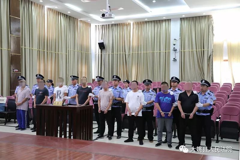 大姚法院公开宣判,8名黑恶势力犯罪分子获刑