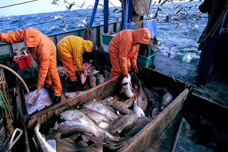 美国想买格陵兰,岛民回应"你买不起":石油储量1100亿桶_丹麦政府