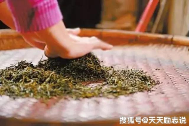 黑茶的制作过程简单了解下黑茶是怎样炼成的