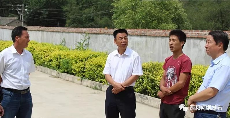 何坝动态县委常委政法委书记唐正林深入何坝镇检查指导环保工作