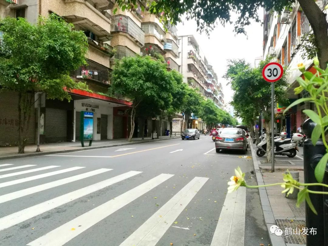 鹤山市沙坪街道图片