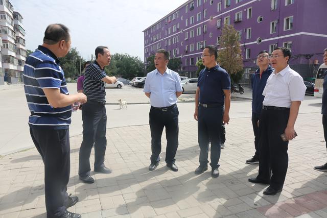 区委常委,政府副区长王志强,政府副区长于凌新,金晶,李海鹰及相关部门