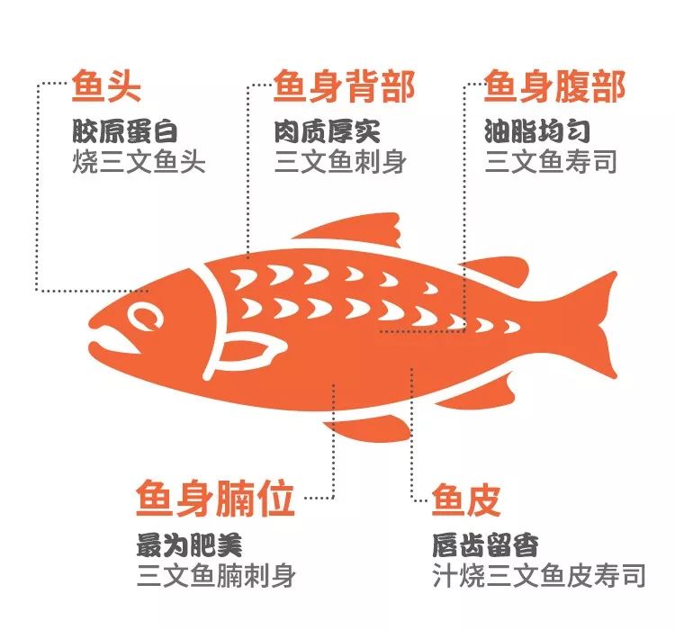 全城寻鲜丨家得福邀您品鉴顶级蓝鳍金枪鱼挪威皇家三文鱼