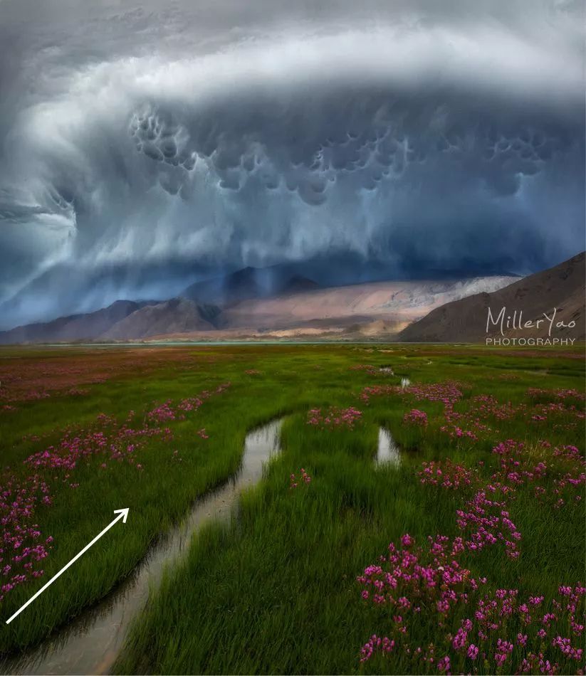 如何消除广角镜头的畸变试试这3种后期工具