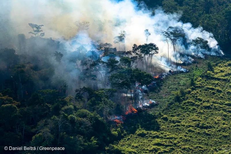 亚马逊雨林大火,20多天无人救援,宛如世界末日!