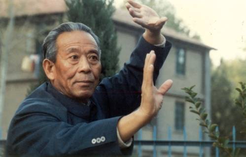 王培生前辈谈用意不用力