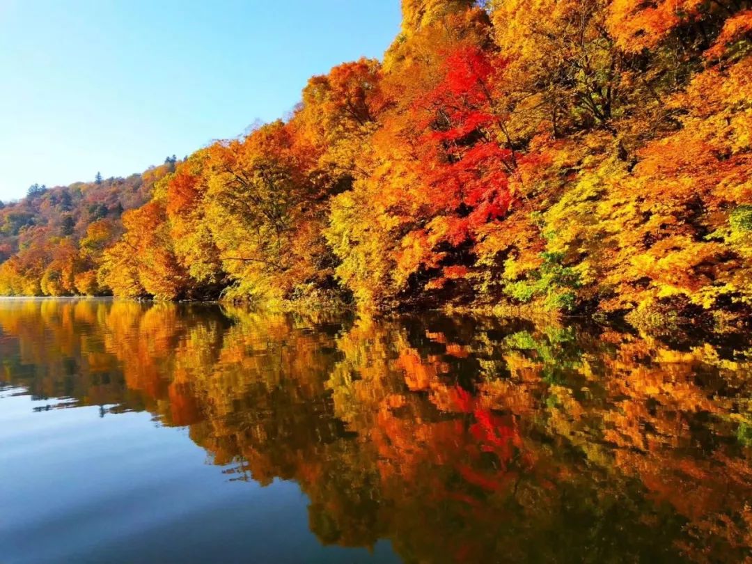 樺甸紅石國家森林公園