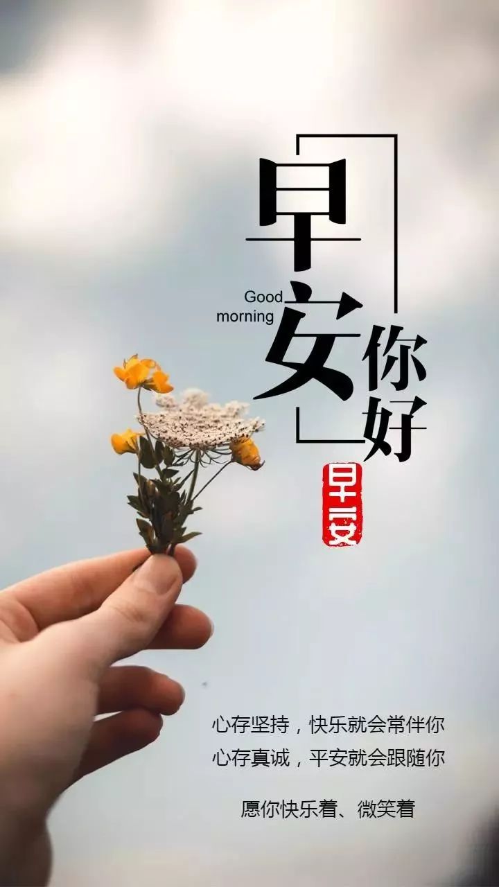 最新的唯美暖心早上好问候语录早安祝福语短信图片表情带字