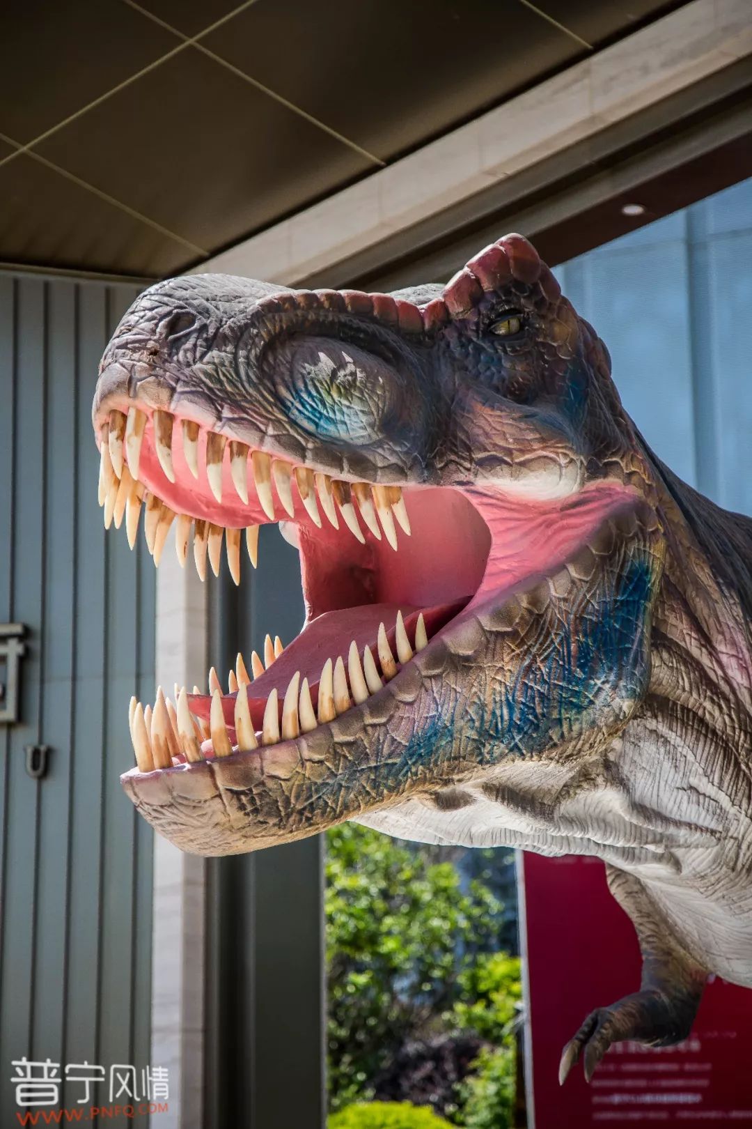 普宁恐龙展震撼来袭!让你1秒穿越到"侏罗纪".